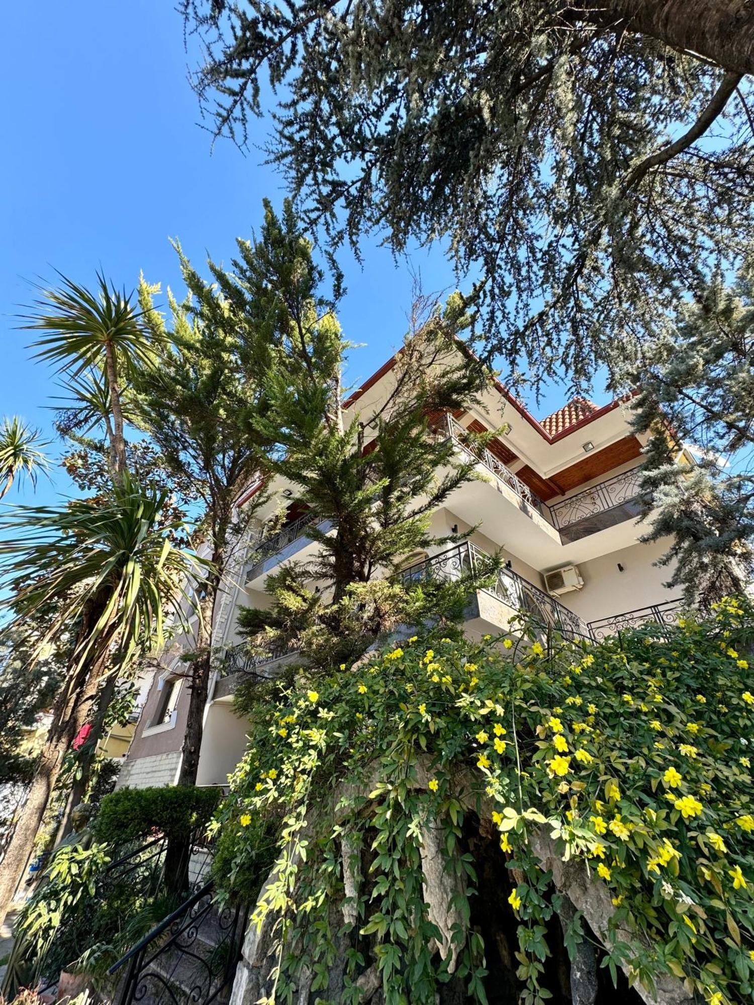 Vila Alizee Hotel Tiranë Ngoại thất bức ảnh