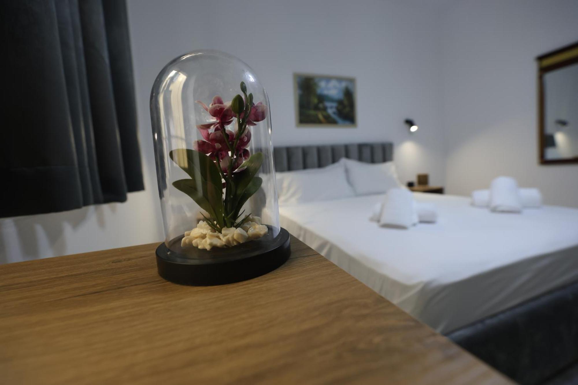 Vila Alizee Hotel Tiranë Ngoại thất bức ảnh